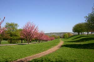 Deutschland, Bonn, Rheinaue