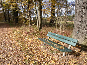 Dessau, Parkanlage am Sieglitzer Berg