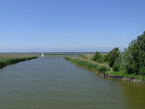 Detschland, Nationalpark Vorpommersche Boddenlandschaft