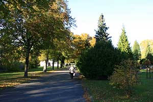 Freiberg, Zentralfriedhof