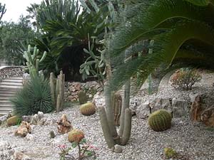 Monaco, Exotischer Garten von Monaco