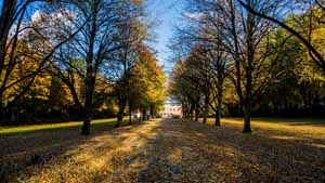 Stralsund, Zentralfriedhof