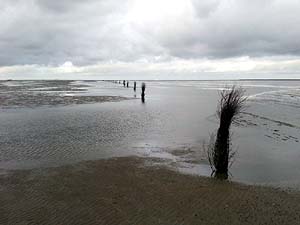 Wattenmeer