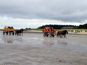 Wattenmeer